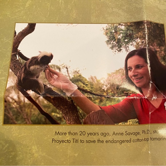 🛑Handmade in Colombia. This “mochilla” supports Proyecto Titi. - Picture 11 of 12